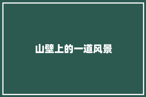 山壁上的一道风景