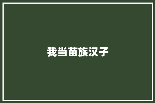 我当苗族汉子