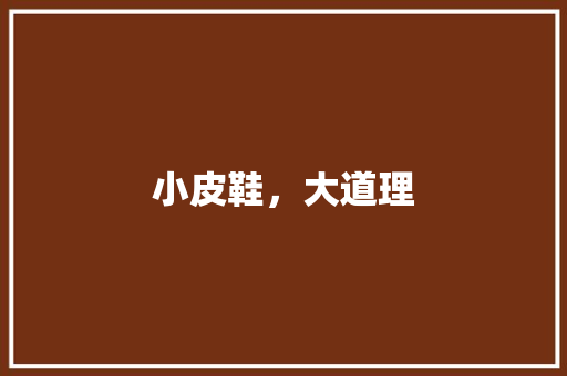 小皮鞋，大道理