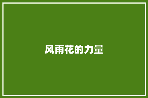 风雨花的力量