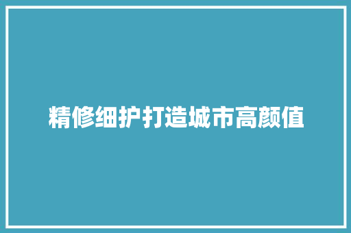 精修细护打造城市高颜值 汽车知识