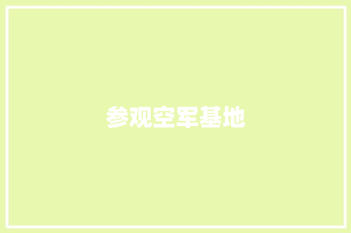 参观空军基地