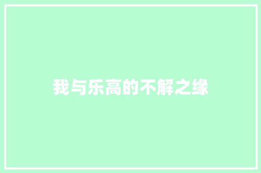 我与乐高的不解之缘