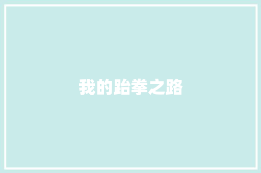 我的跆拳之路