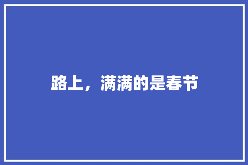 路上，满满的是春节