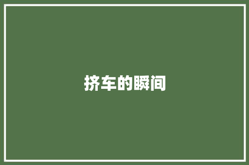 挤车的瞬间