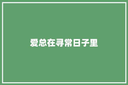 爱总在寻常日子里
