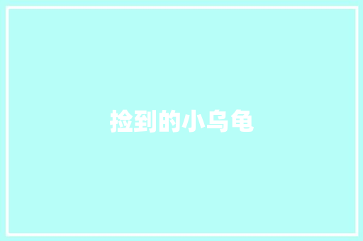 捡到的小乌龟
