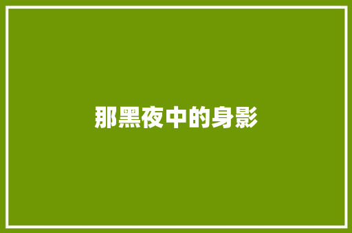 那黑夜中的身影