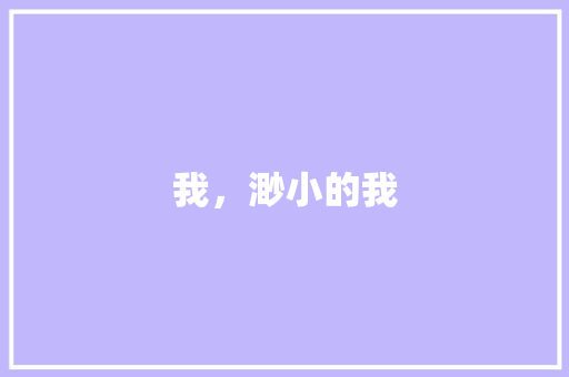 我，渺小的我