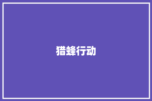猎蜂行动