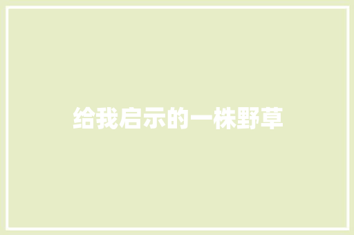 给我启示的一株野草