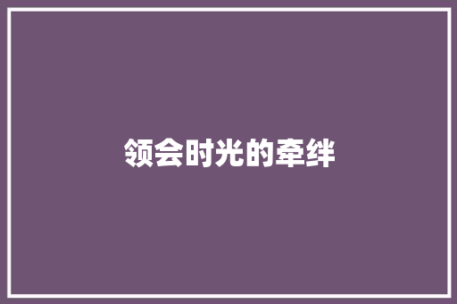 领会时光的牵绊