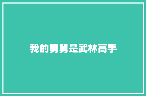 我的舅舅是武林高手
