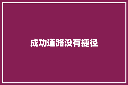 成功道路没有捷径