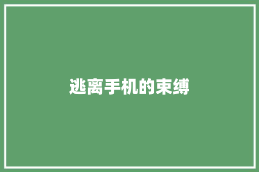 逃离手机的束缚