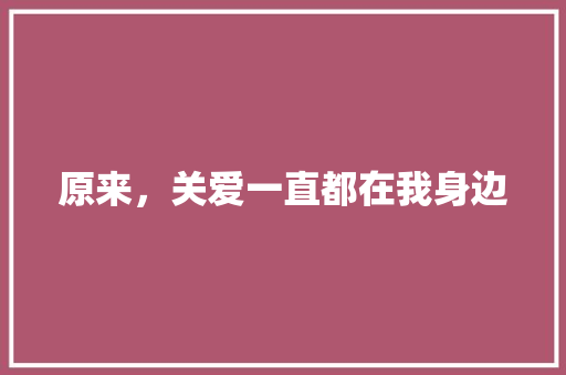 原来，关爱一直都在我身边