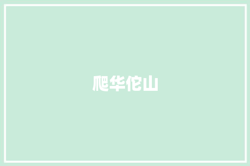 爬华佗山