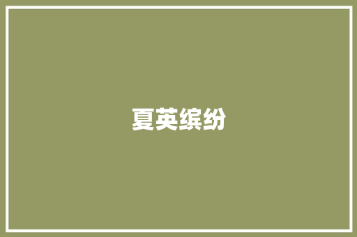 夏英缤纷