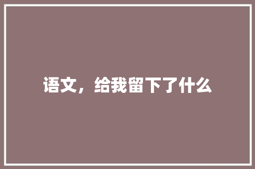 语文，给我留下了什么