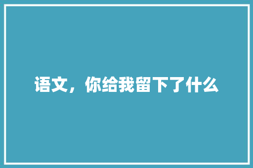 语文，你给我留下了什么