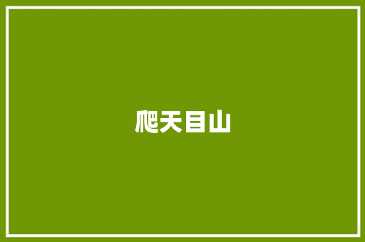爬天目山