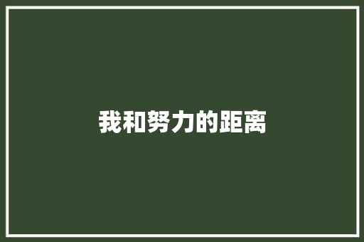 我和努力的距离