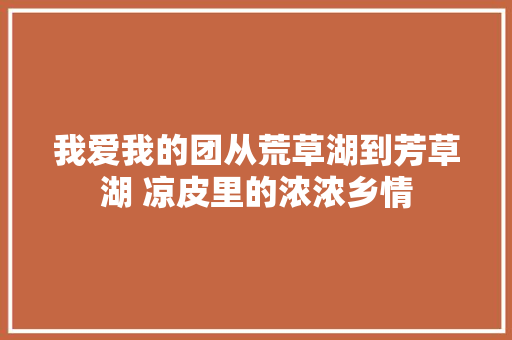 我爱我的团从荒草湖到芳草湖 凉皮里的浓浓乡情
