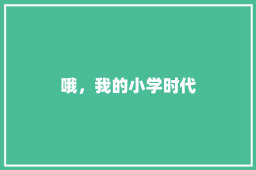 哦，我的小学时代
