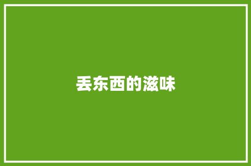 丢东西的滋味