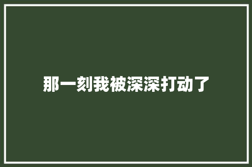 那一刻我被深深打动了