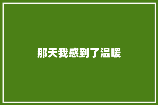 那天我感到了温暖