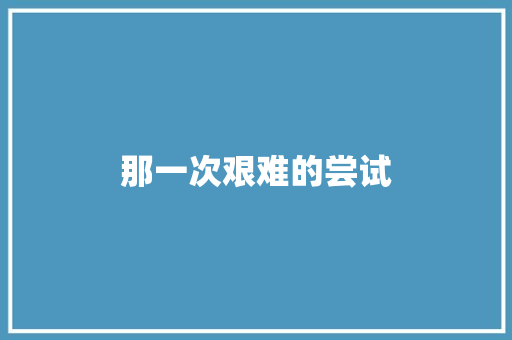 那一次艰难的尝试