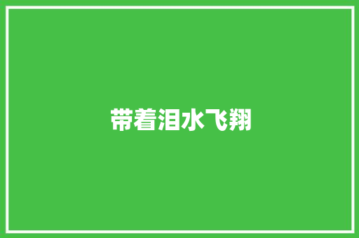 带着泪水飞翔