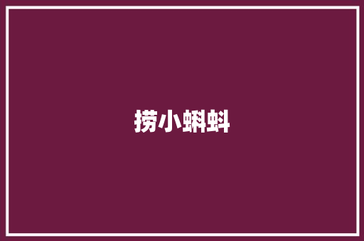 捞小蝌蚪