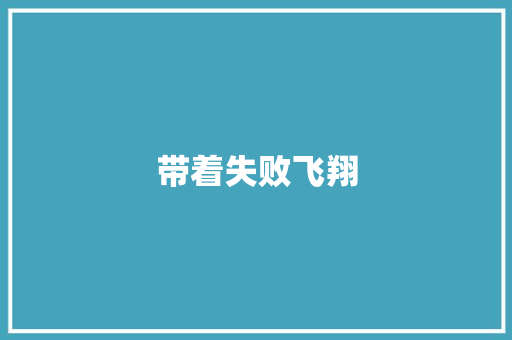 带着失败飞翔