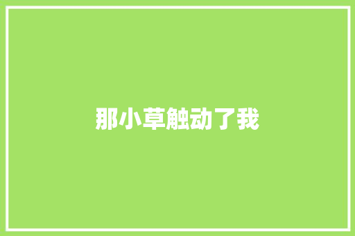 那小草触动了我