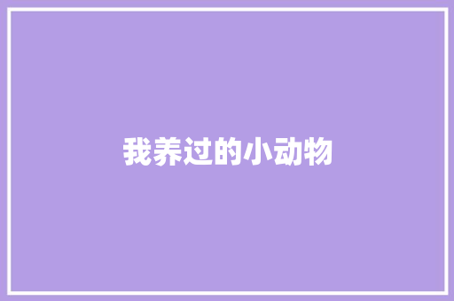 我养过的小动物