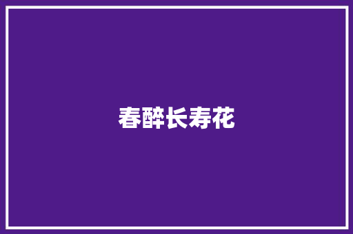 春醉长寿花