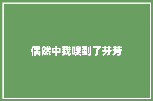 偶然中我嗅到了芬芳