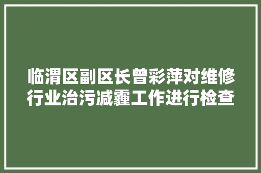临渭区副区长曾彩萍对维修行业治污减霾工作进行检查 汽车知识