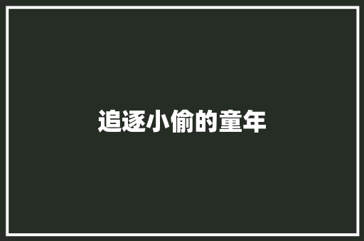追逐小偷的童年 知识百科