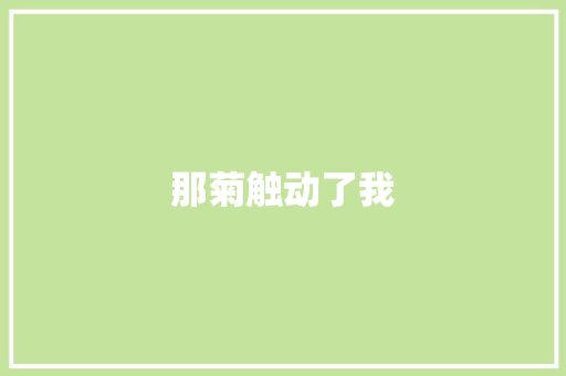 那菊触动了我