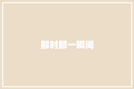 那时那一瞬间