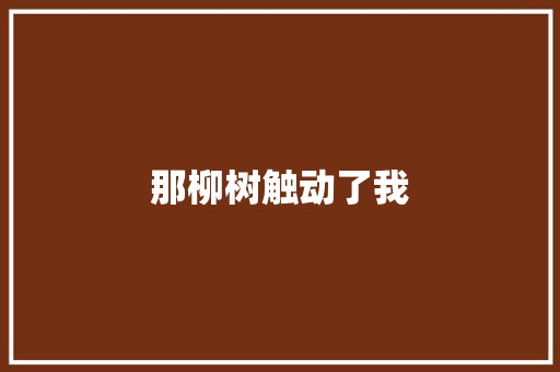 那柳树触动了我