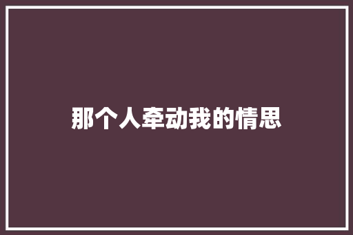 那个人牵动我的情思