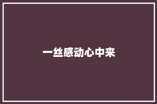 一丝感动心中来