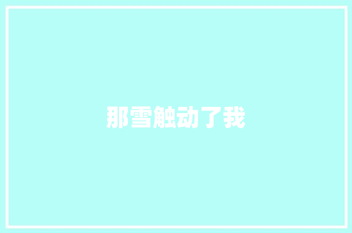 那雪触动了我