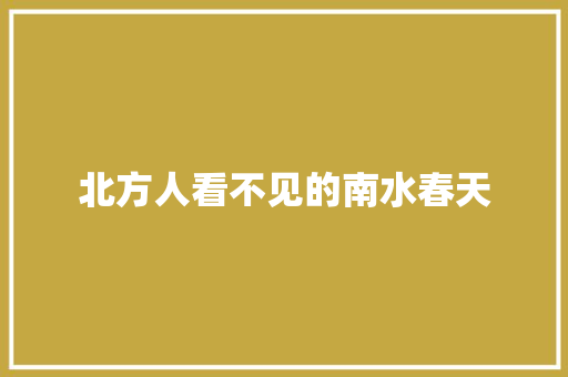 北方人看不见的南水春天