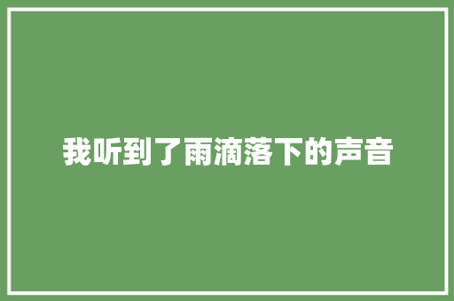 我听到了雨滴落下的声音